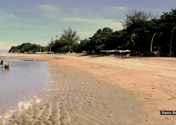Zen Sunshine Dewi Sartika Kuta Lombok
